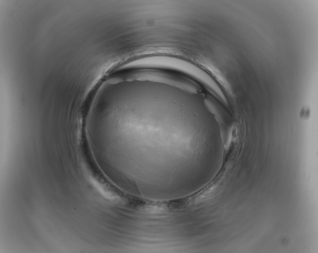 X0000091910110200709051427