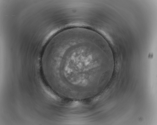X0000091910111200709051427