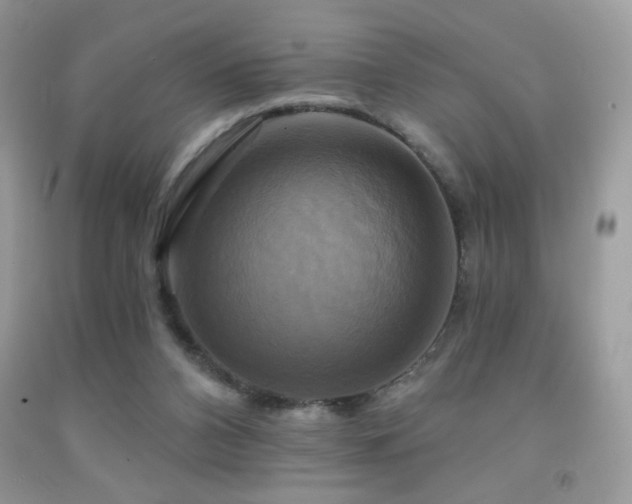 X0000091910112200709051427