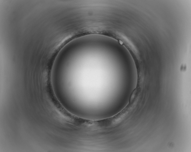 X0000091910113200709051427