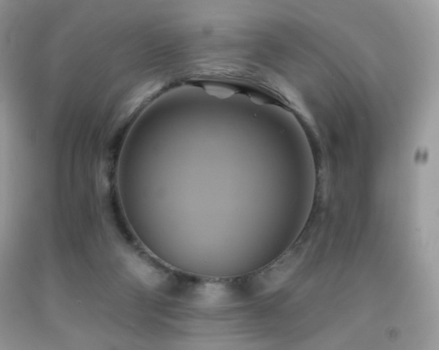 X0000091910114200709051427