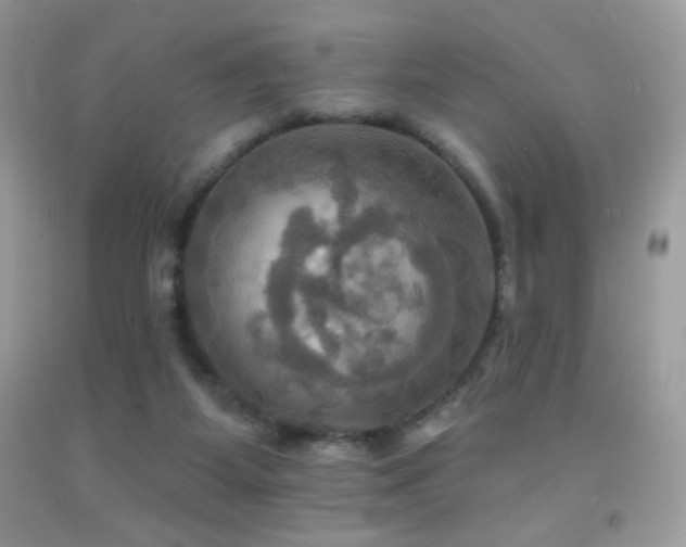 X0000091910115200709051427