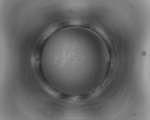 X0000091910116200709051427