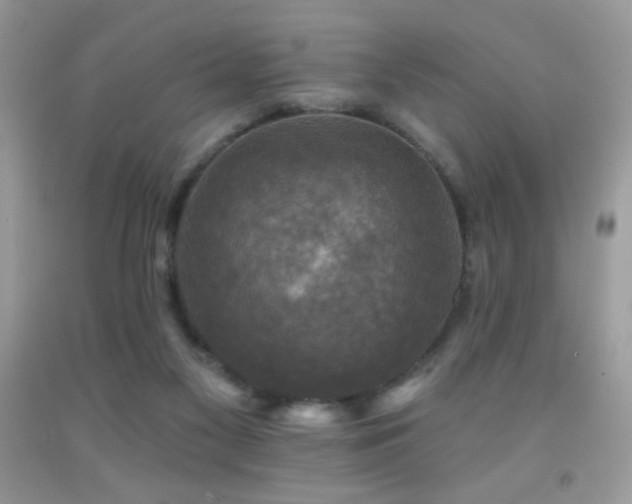 X0000091910117200709051427