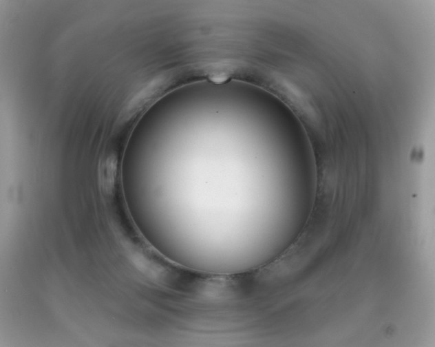 X0000091910118200709051427