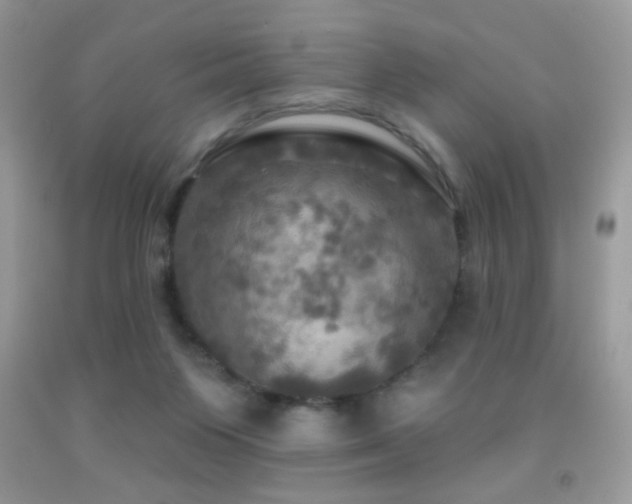 X0000091910119200709051427