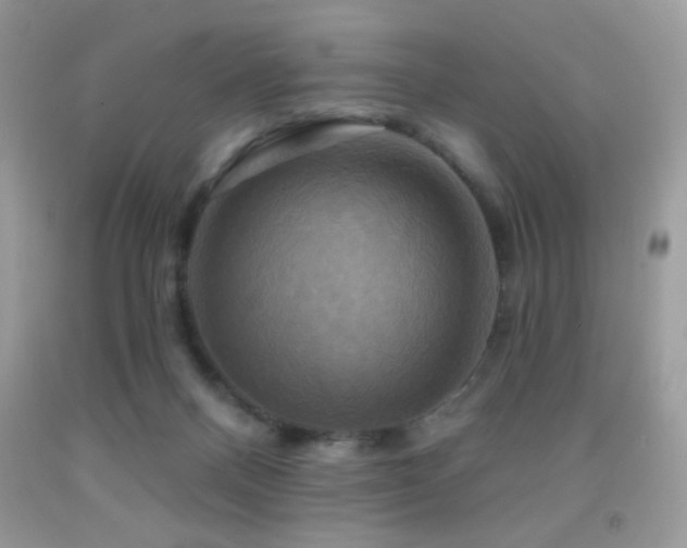 X0000091910120200709051427