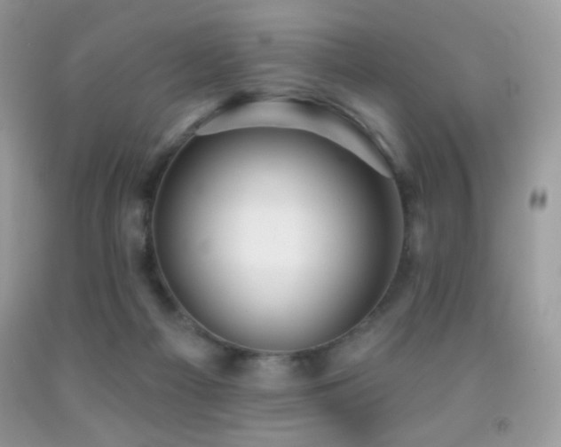X0000091910121200709051427