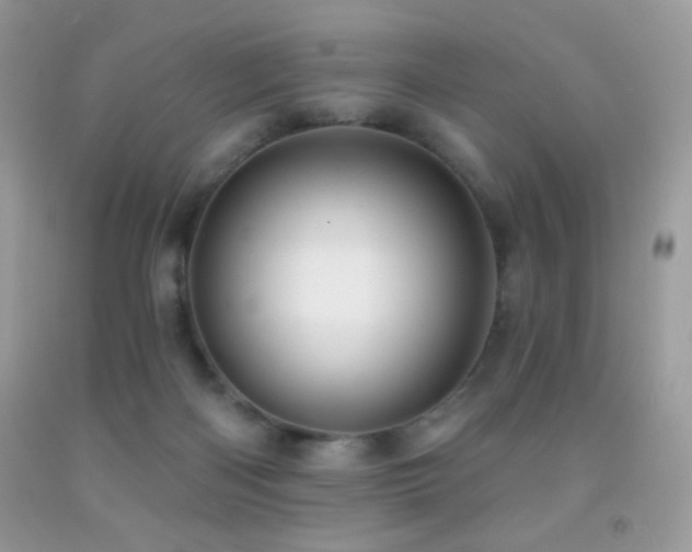 X0000091910122200709051427