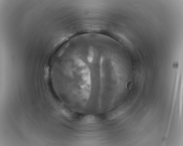 X0000091910123200709051427