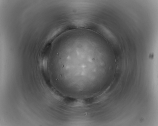 X0000091910124200709051427