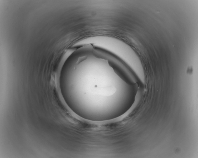 X0000091910125200709051427