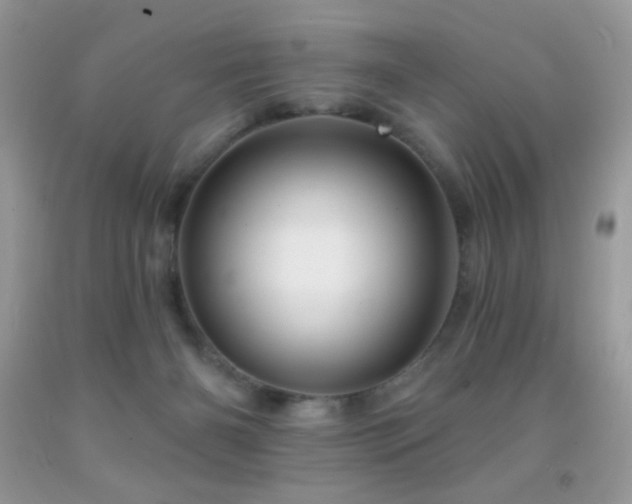 X0000091910126200709051427