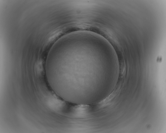 X0000091910128200709051427