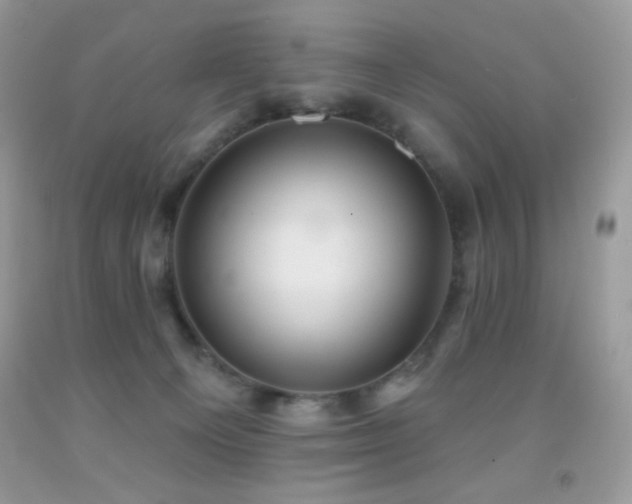 X0000091910129200709051427