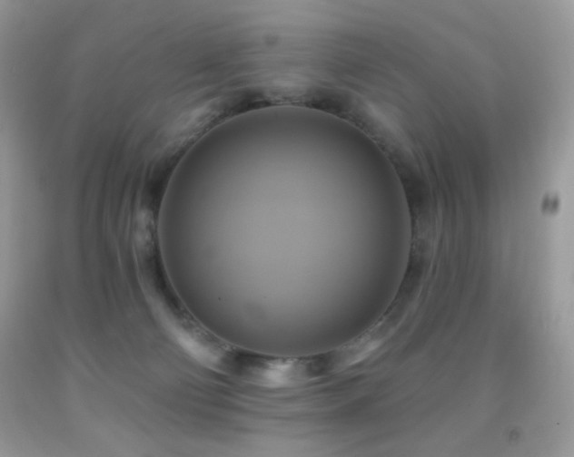 X0000091910130200709051427