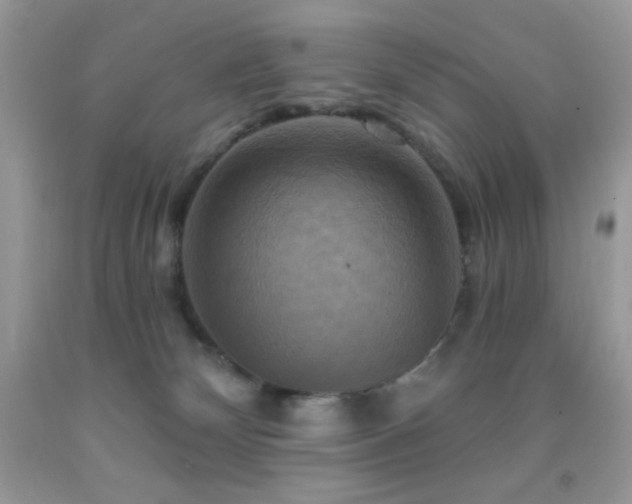 X0000091910132200709051427