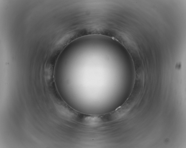 X0000091910133200709051427