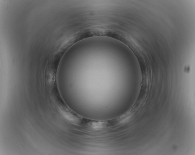 X0000091910134200709051427