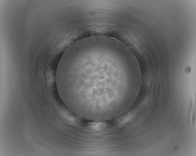 X0000091910135200709051427
