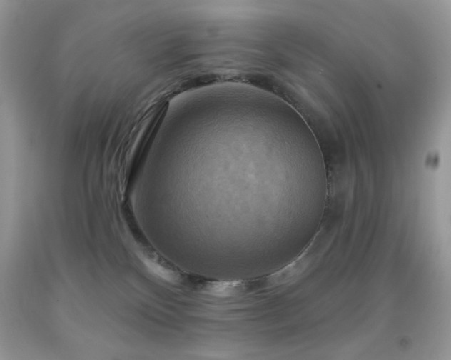X0000091910136200709051427