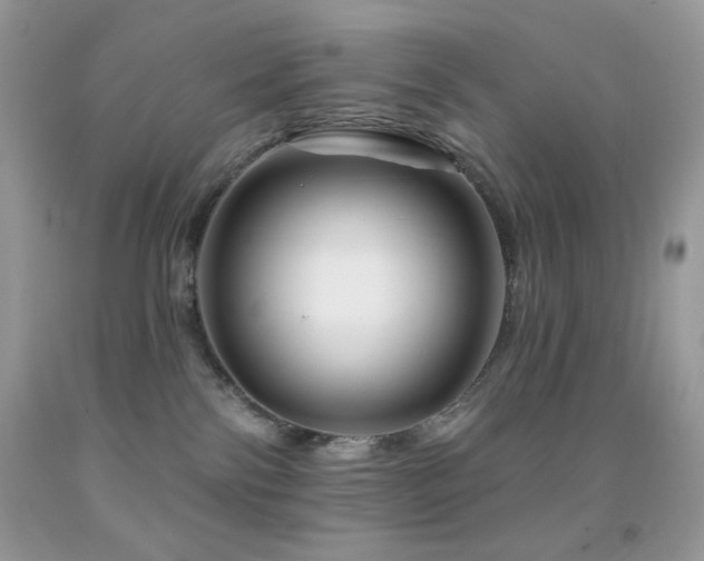 X0000091910138200709051427