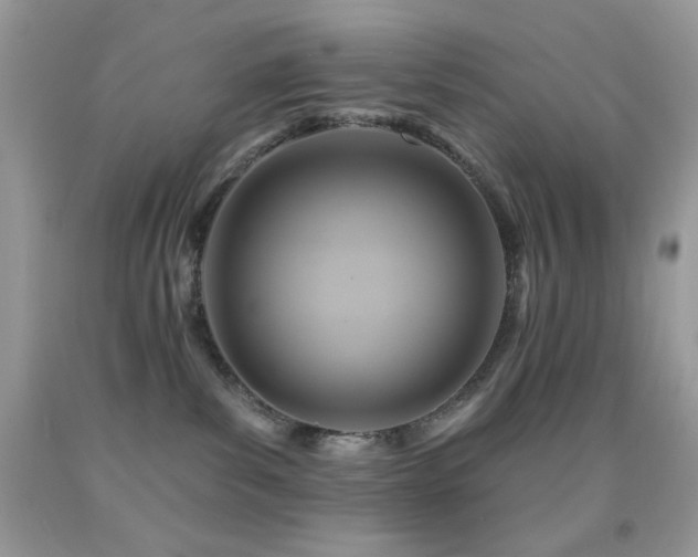 X0000091910139200709051427