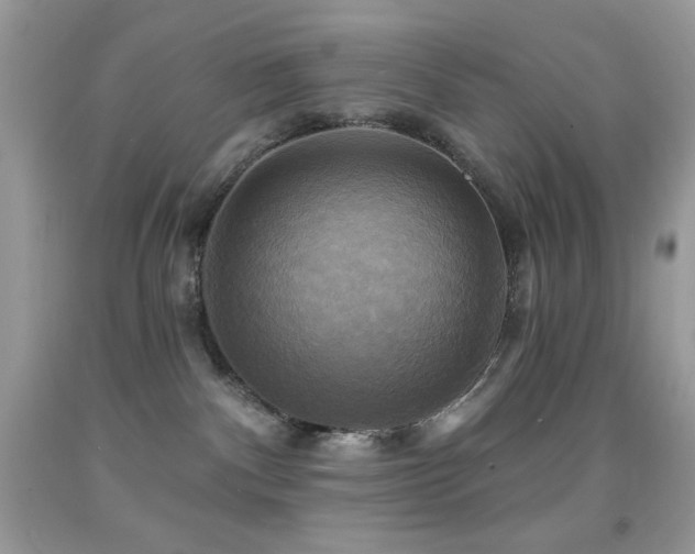 X0000091910140200709051427
