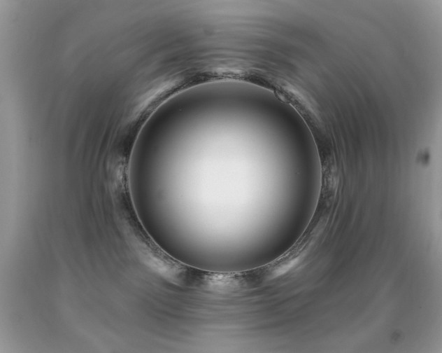 X0000091910141200709051427