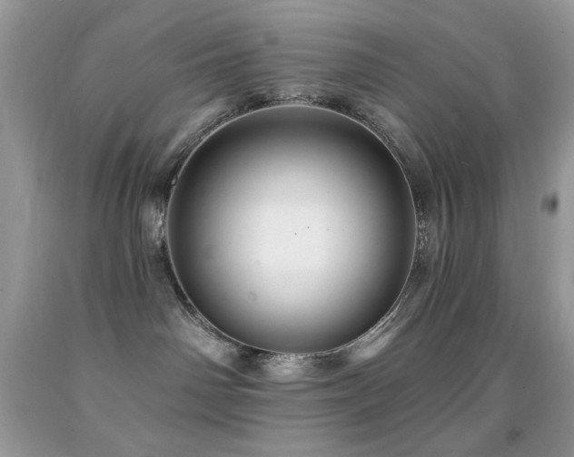 X0000091910142200709051426