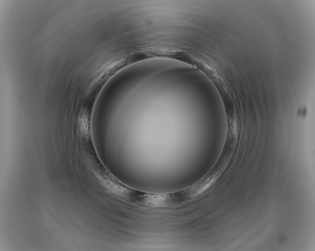 X0000091910143200709051426
