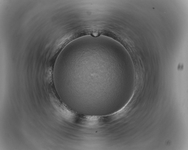 X0000091910144200709051426