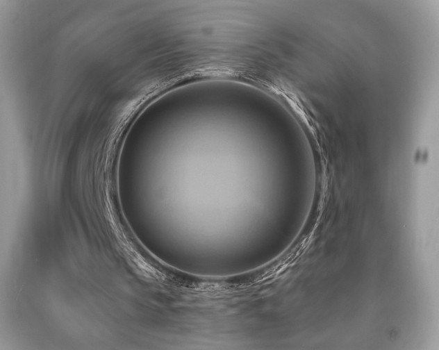 X0000091910145200709051426