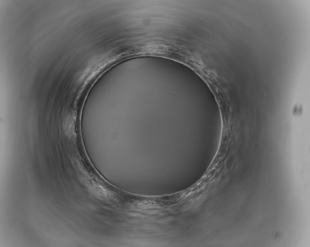 X0000091910146200709051426