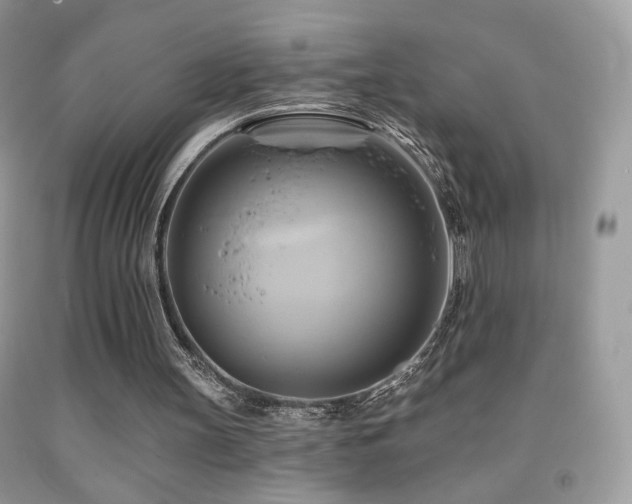 X0000091910147200709051426