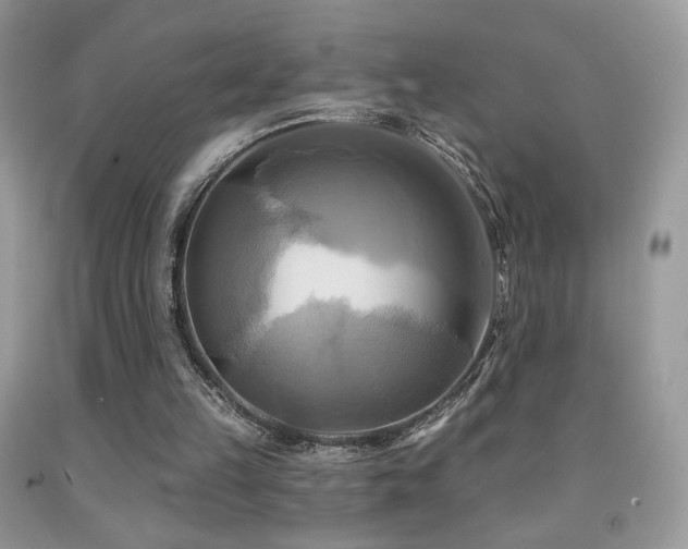 X0000091910149200709051426