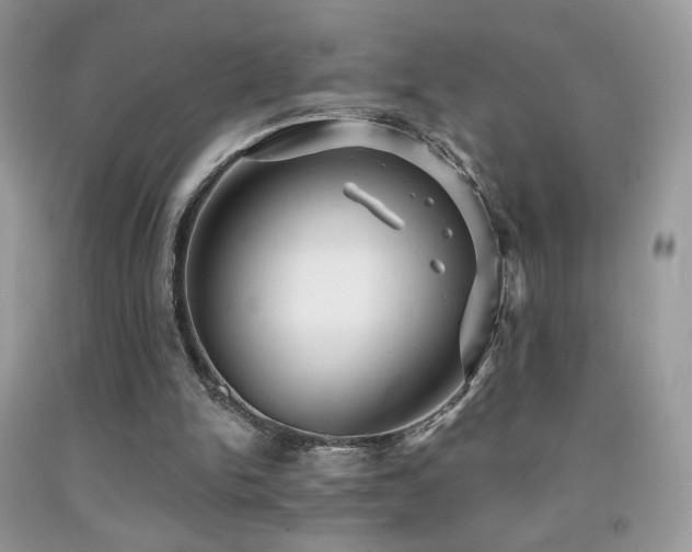X0000091910150200709051426