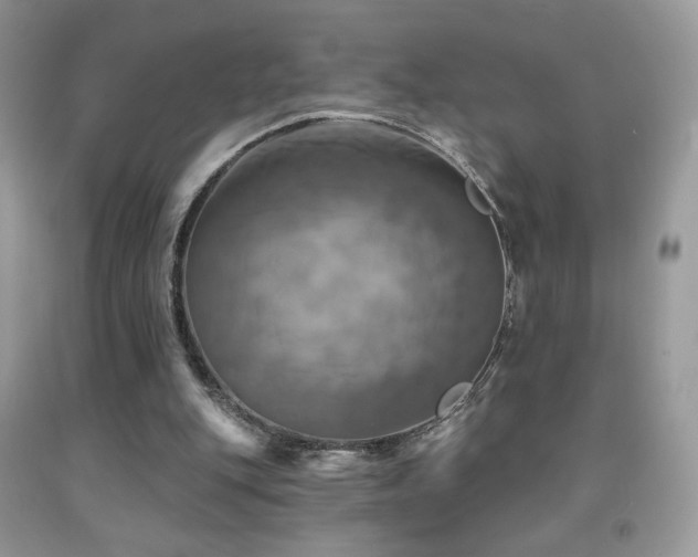 X0000091910151200709051426