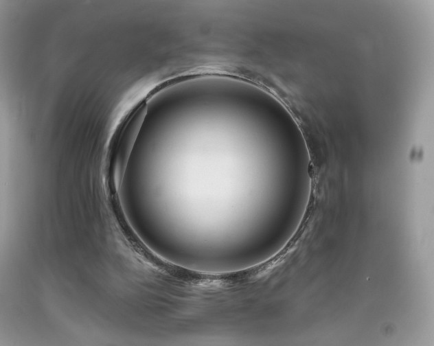 X0000091910152200709051426