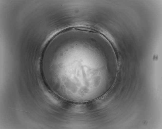 X0000091910155200709051426