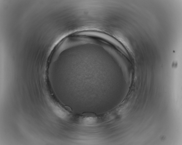 X0000091910156200709051426