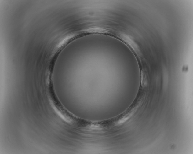X0000091910157200709051426