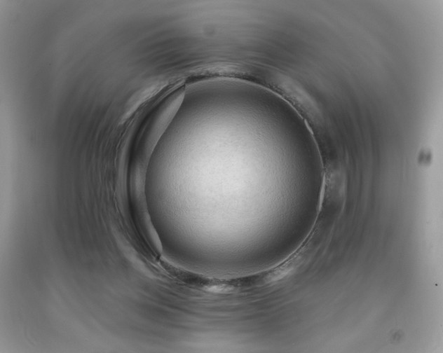 X0000091910158200709051426