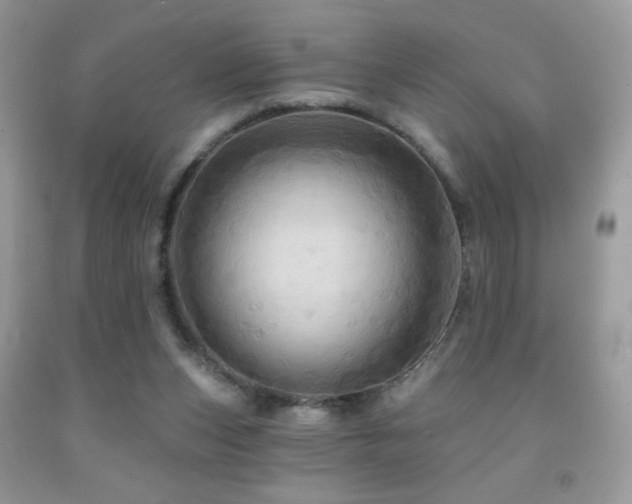 X0000091910159200709051426