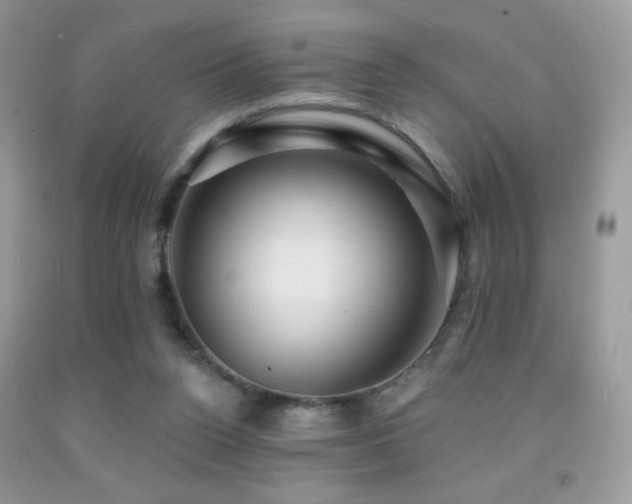 X0000091910160200709051426