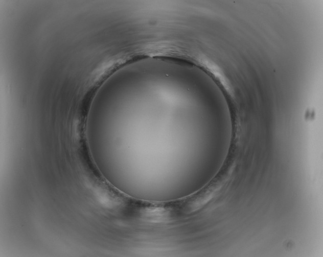 X0000091910161200709051426