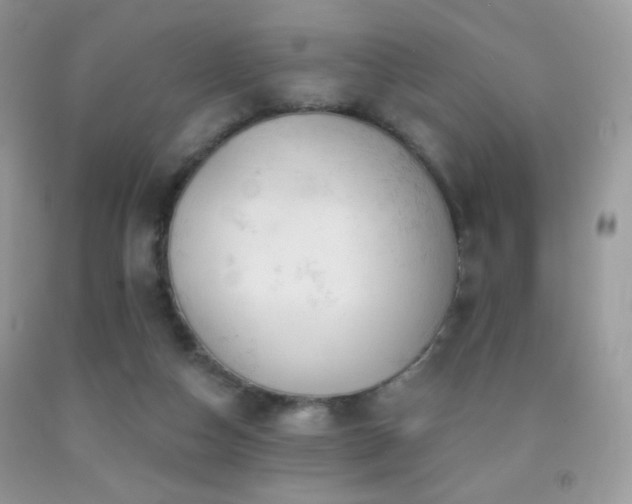 X0000091910162200709051426