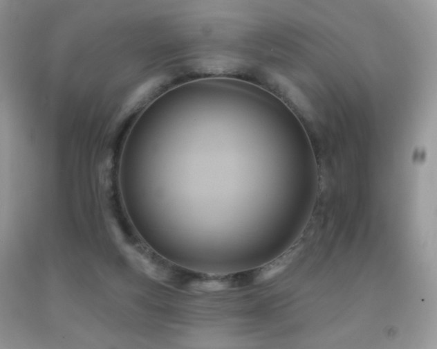X0000091910163200709051426
