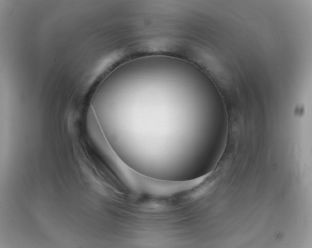X0000091910164200709051426