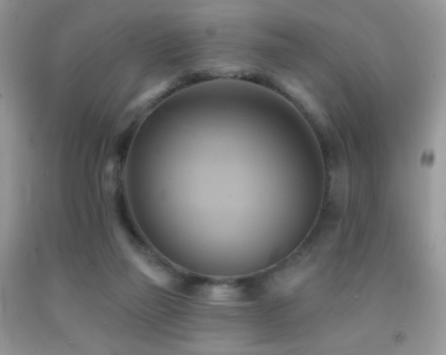 X0000091910165200709051426